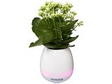 Динамик Green Thumb Flower Pot с Bluetooth®